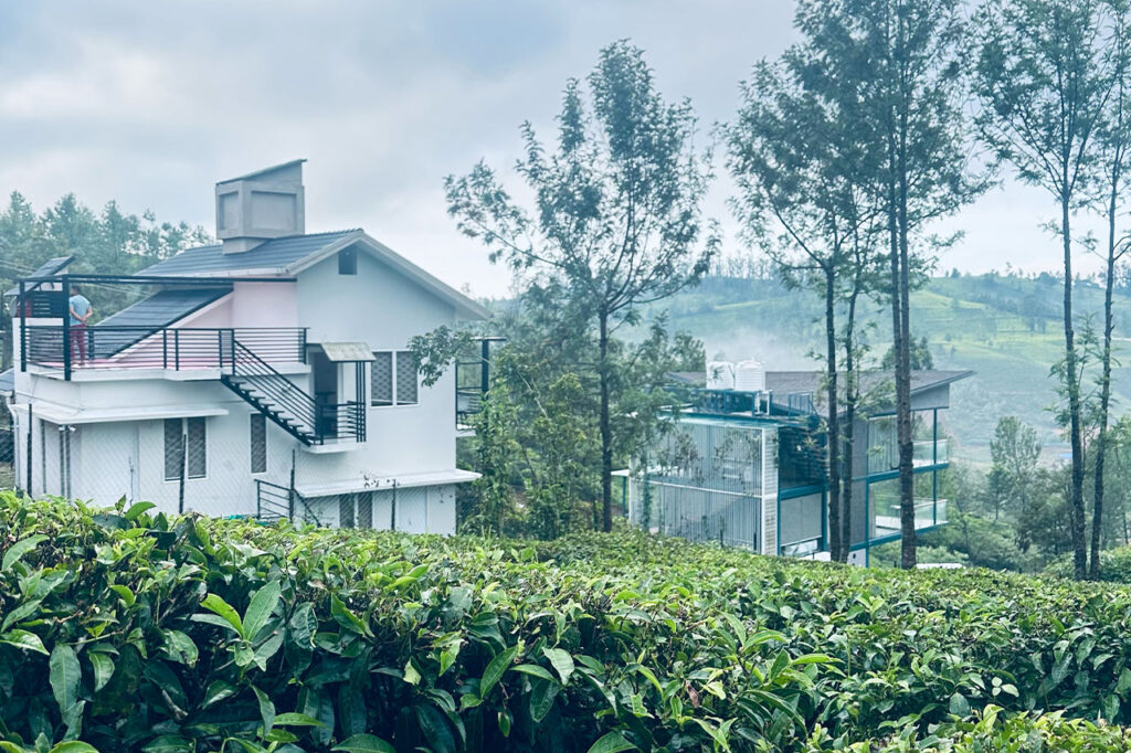Ooty Luxury Homestay in tea estate