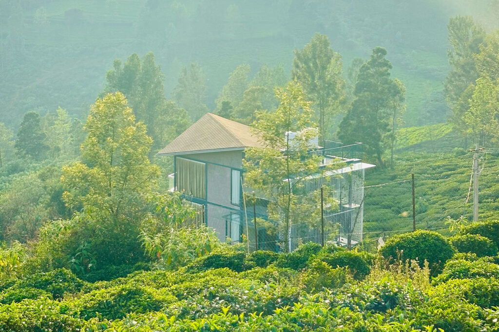 View of Ooty Homz luxury homestay surrounded by lush tea estates at sunset, capturing the serene atmosphere and natural beauty of the Ooty hillside